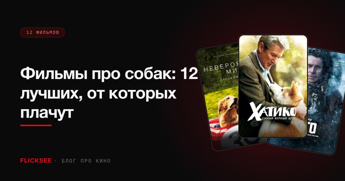 Фильмы про собак: 12 лучших, от которых плачут
