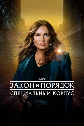 Закон и порядок. Специальный корпус — постер