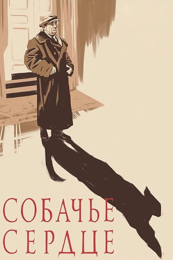 Постер Собачье сердце