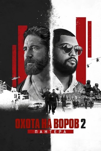 Охота на воров 2: Пантера — постер