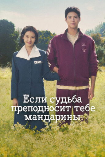 Постер Если судьба преподносит тебе мандарины