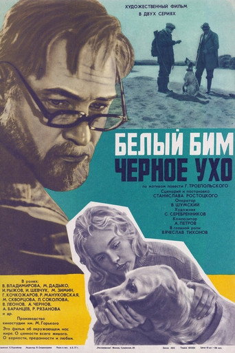 Постер Белый Бим Чёрное ухо