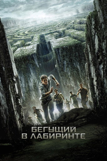 Бегущий в лабиринте — постер