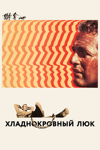 Постер Хладнокровный Люк