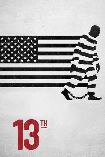 Постер 13th