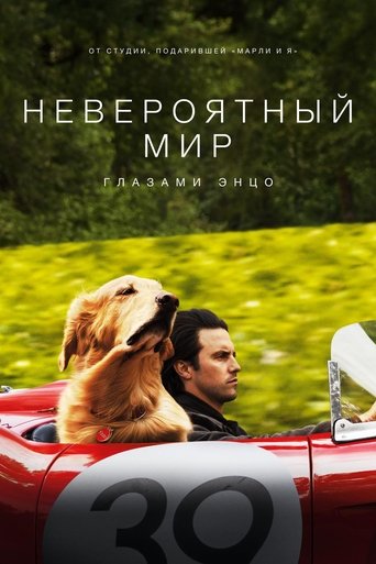 Постер Невероятный мир глазами Энцо