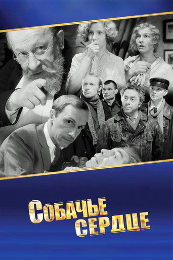 Постер Собачье сердце